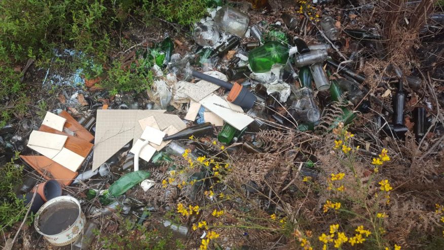 Manh&atilde; a favor do "ambiente"