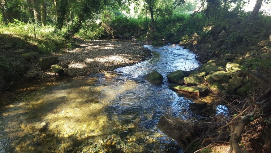 Pedras no leito da Ribeira da Silvareira