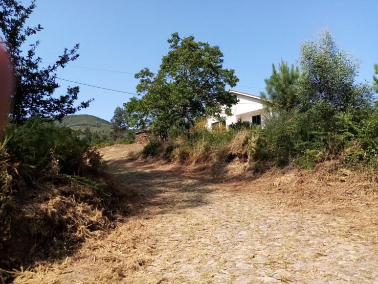 Rua da Barreira