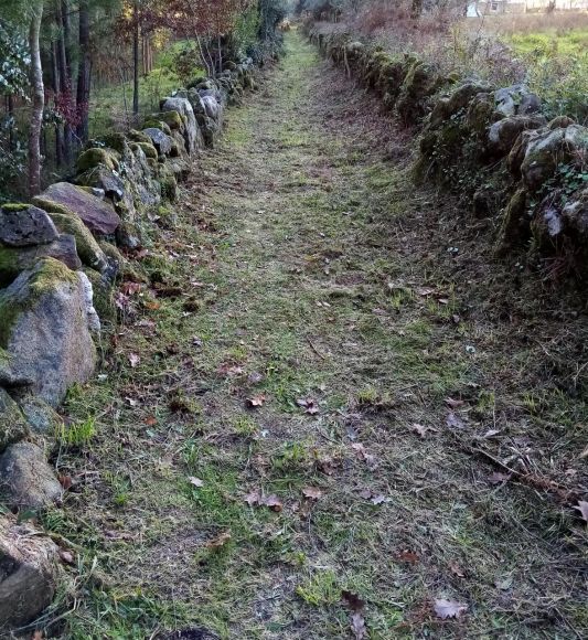 Rua de Fornes
