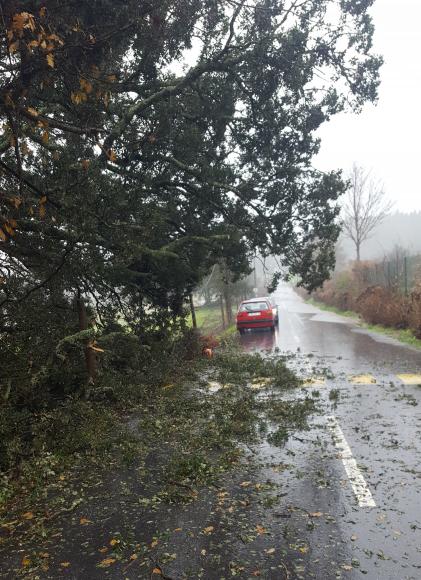Rua de S&atilde;o Pedro d'Arcos (Quinta de Pentieiros)