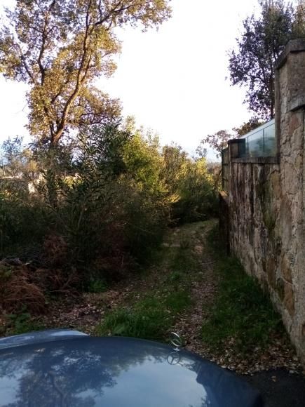 Rua da Portela