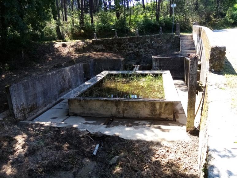 Fonte / Tanque do Picouo