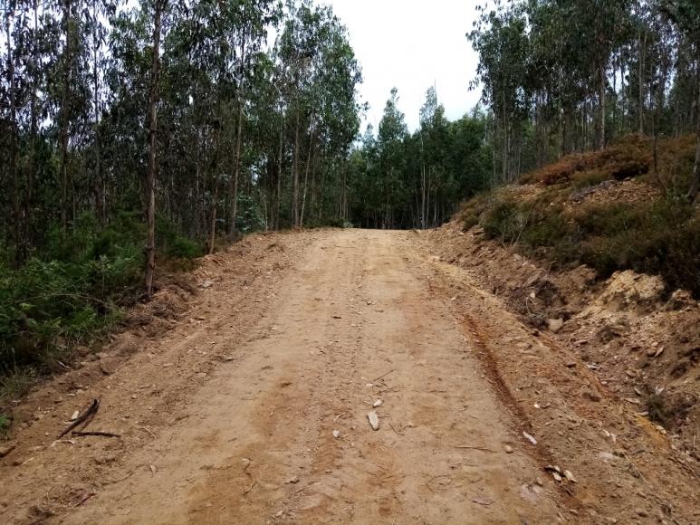 Estrad&otilde;es Florestais