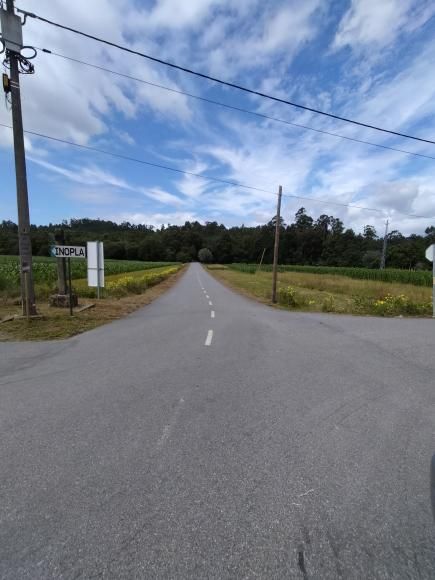 Limpeza de Vias