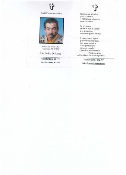 David Fernandes da Silva