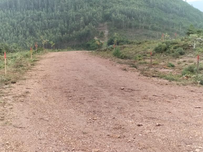 Ponte de lima-Pulm&atilde;o  do Alto Minho