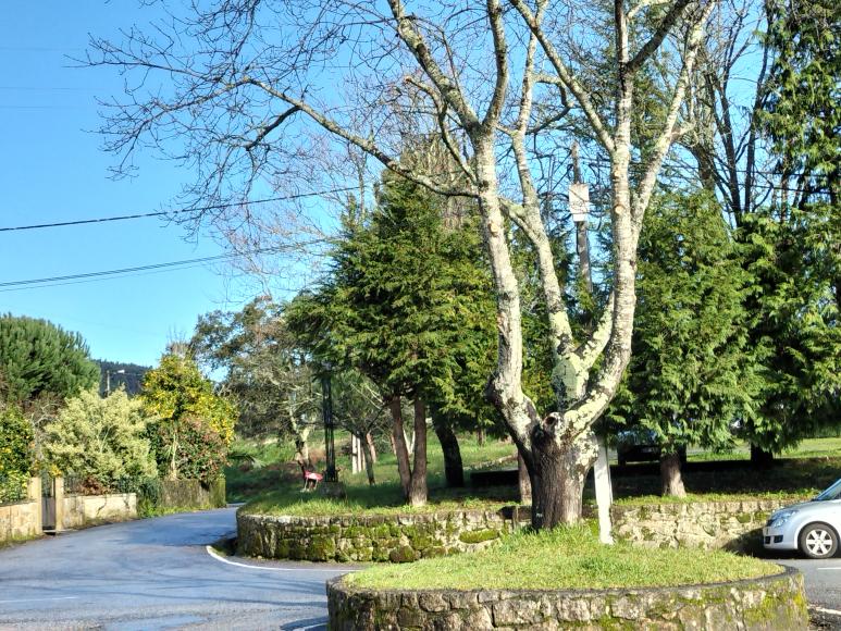 Desobstru&ccedil;&atilde;o da Via P&uacute;blica