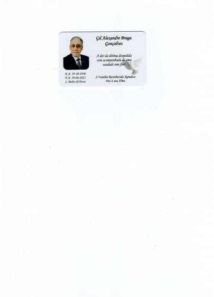 Gil Alexandre Braga Gon&ccedil;alves