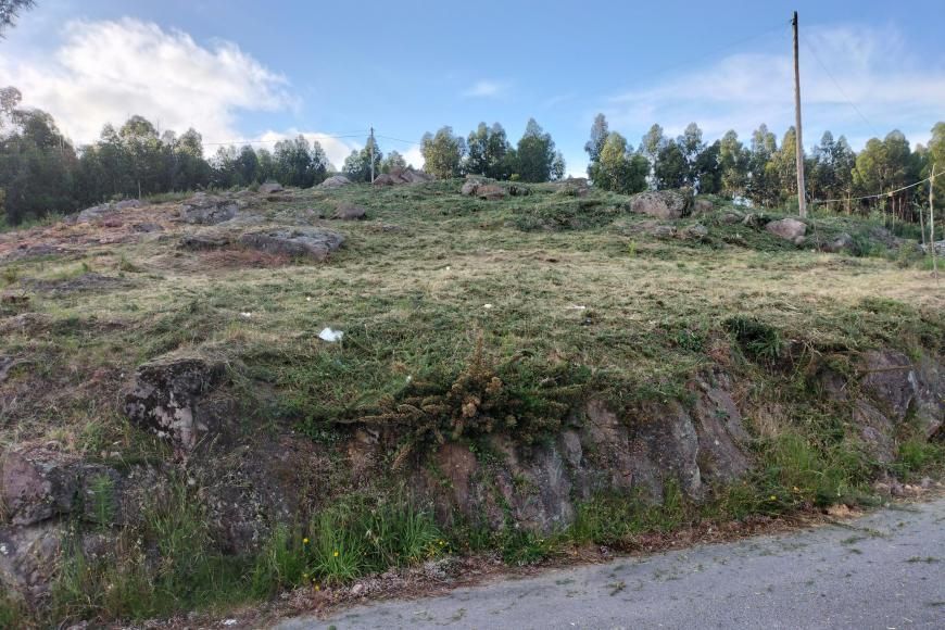 Monte de Sanjamondes - Limpeza