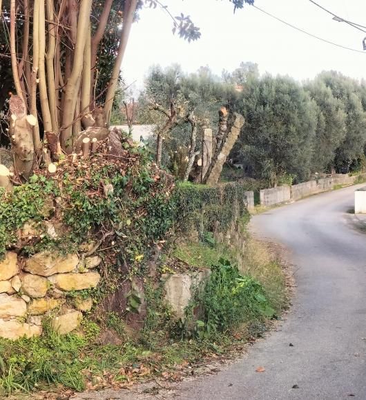 Rua de Arcos