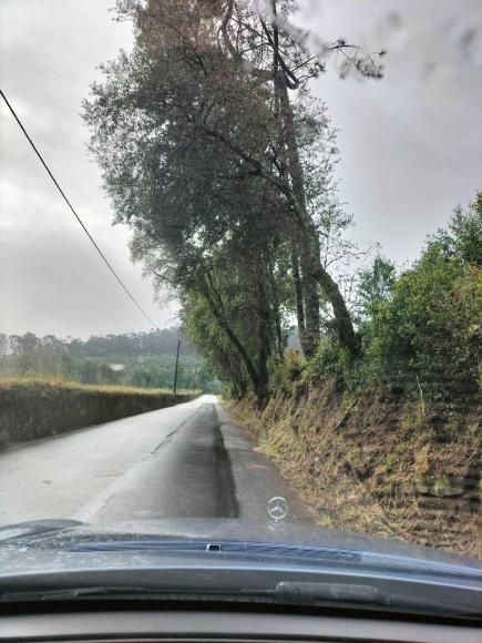 LIMPEZA  DAS VIAS DA NOSSA TERRA
