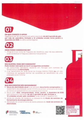 Botija Solid&aacute;ria