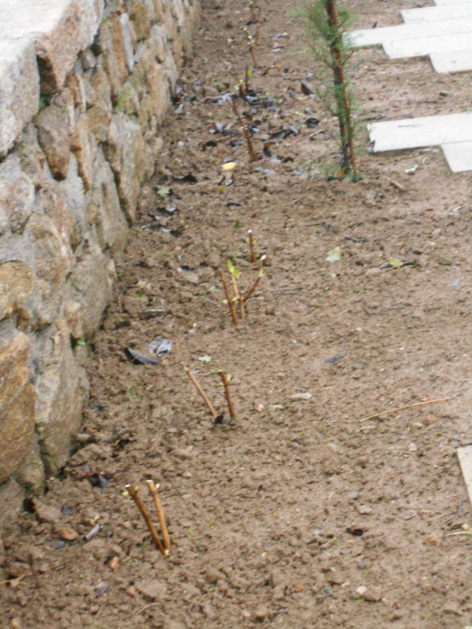 Avenida do Cemit&eacute;rio