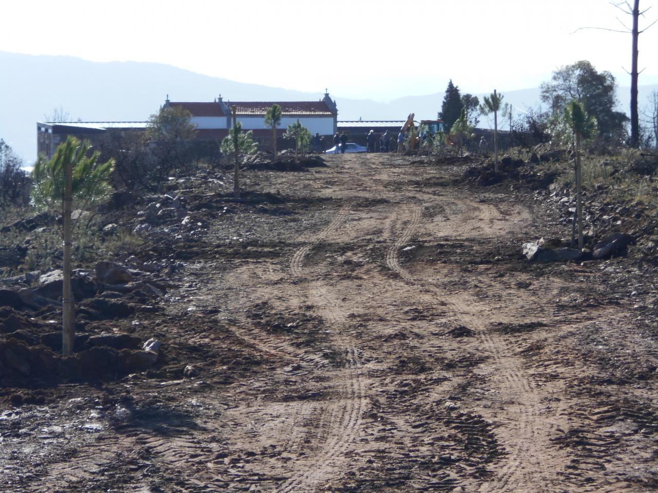 Santa Justa Mais Verde