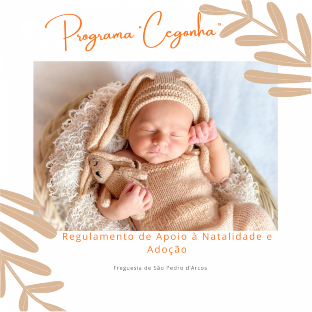 Programa Cegonha