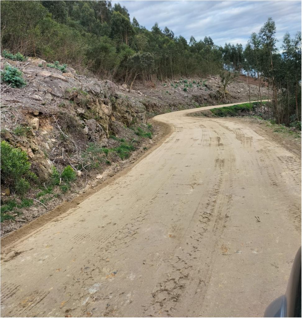 Rua do Castelo da Formiga