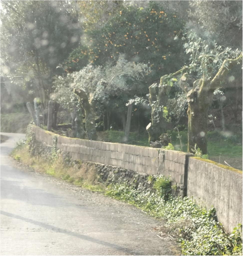 Rua de Arcos