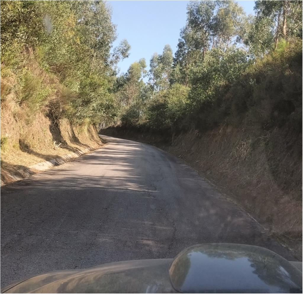 Rua Sobreiros Verdes
